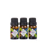 MUKKO HOME 3’lü Esansiyel Uçucu yağ 3x10ml Westin Kokulu Buhurdanlık Yağı set, Difüzör, Banyo ve Oda Kokusu