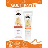 Multi Paste 100 G Kediler Için Multivitamin Malt Macunu