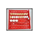 Multımıx Otomatik Yumurta Çevirme Viyolü | Kuluçka Makinesi Yumurtalık Sistemi | 220V Motorlu | Kaz, Tavuk, Bıldırcın, Ördek Yumurtası Uyumlu