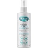 Multiway Clean Antiseptik Sprey 100ml 1 Adet-