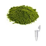 Mum Boyası Pigment 1,5ml Tüp Içerisinde Mum Yapma Malzemeleri Mum Yapımı Renklendirme - Yeşil