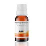 Mumi 10 ml Premium Hindistan Cevizi Sütlü Latte Mum Esansı