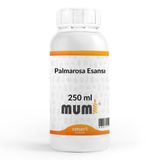 Mumi 250 ml Premium Palmarosa Mum Esansı