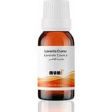 Mumi Lavanta Mum Esansı 10 ml