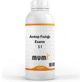 Mumi Mum Esansı Antep Fıstığı 1 Lt