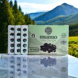 Mumio Mumiyo(Shilajit) 3 x 30'lu Tablet Takviye Edici Gıda Doğanın Mucizesi ile Güçlendirin