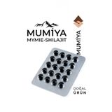 mumiya %100 Saf Kırgızistan Mumiyo Shilajit | Doğal Enerji, Güç ve Bağışıklık Artırıcı Takviye 30 Tablet