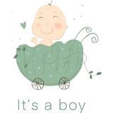 Mundough It's A Baby Girl Boy 2'li Konsept Tebrik Kartı - Standart