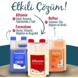 Munich Vet Kuşlar İçin 500 ml Farmatom Vitamin Seti İshal ve Hirilti İçin Alfamin Neftor