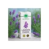 Murat Çubukçuoğlu Lavanta Esansı, 10ml, %100 Katı Esans 8682835891188