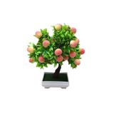 Murat Tohumculuk Bodur Bonsai Şeftali Ağacı Tohumu Ekim Seti 1 Adet Tohum + Saksı + Toprak