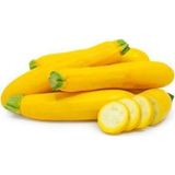 Murat Tohumculuk Süper Paket Sarı Endonezya Altın Kabak Tohumu Sarı Kabak Tohumu 40 Adet Tohum