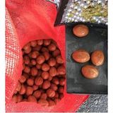 Muratti Yaş Ceviz Kabuk Soyma Makinası 130LT