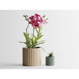 Muris Dekoratif Saksı - Bej Modern Çizgili Bitki Saksısı 8 cm - 85x85x80mm