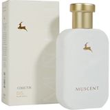 Muscent C074 Tilya Unisex EDP Parfüm 50 ml Fresh Koku Temiz ve Huzurlu Deneyim Sunar