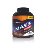 MuscleFix Muslefix Mass Gainer 3kg Çikolata Aromalı (Yanında üç farklı hediye )