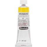 Mussini 35 ml Seri 5 No 227 Cadmium Yellow 1 Light Yağlı Boya