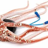 Mustad Inkvader Octopus Rıf Reef 150 gr Jig Sahte Yem