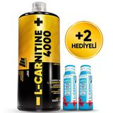 Mustang Nutrition L-Carnitine 4000 Mg 1000 Ml 33 Servis Limon + 2 X L-Karnitin Shot Hediyeli