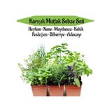 Mutfak Sebze Seti Reyhan+nane+maydanoz+kekik+fesleğen+biberiye+adaçayı Fidesi Toplam 7adet