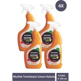 Mutfak Temizleyici Limon Kokulu Sprey 4 Adet x 750 ml - 3 kg