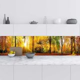 Mutfak Tezgah Arası Folyo Fayans Kaplama Folyosu Sonbahar 60x500 cm