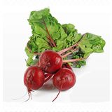 Mutlu Paket Aromatik İçi Dışı Kırmızı Red Beet Pancar Fidesi (5 Adet)