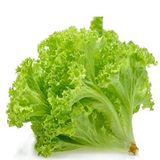 Mutlu Paket Kıvırcık Şemikler Marul Tohumu (1 gram)