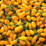 Mutlu Paket Tüplü Amber Sweet Altuni Sarı Gold Goji Berry Fidanı