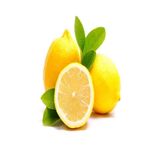 Mutlu Paket Tüplü Aşılı İnce Kabuklu Enter Limon Fidanı