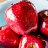 Mutlu Paket Tüplü Aşılı Tam Bodur Red Miracle Kırmızı Mucize Elma Fidanı