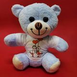 Mutlu Sevgililer Temalı Tişörtlü Peluş Ayıcık - 25 Cm