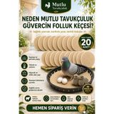 MUTLU TAVUKÇULUK Güvercin Folluk Keçesi 20 Adet Yün Keçe Yuvalık Altlığı Kuluçka ve Yavru Bakım Keçesi