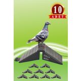 MUTLU TAVUKÇULUK Tünek Güvercin Bekar Tüneği 10 Adet Plastik Kuş Pigeon Yuva Taklacı Hünkari Balon Hatay Güvercini