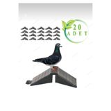 MUTLU TAVUKÇULUK Tünek Güvercin Bekar Tüneği 20 Adet Plastik Kuş Yuvalık Bursa Çakal Oynar Dolap Dönek Güvercini