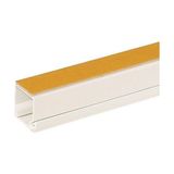 Mutlusan Kablo Kanalı 25 X 16 Yapışkanlı 25 X 16 Pvc 2mt