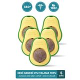 muvicado Organik Kedi Çimi Kedi Nanesi Otu Kedi Oyun Topu Avokado Kedi Otu Çimi Catnip Yavru Kedi Oyuncakları