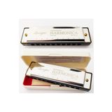 Müzikal Dükkan Lexington 10 Delikli Mızıka Professional Harmonica Do (c)