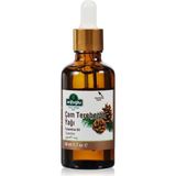 MWX Teknoloji Çam Terebentin Yağı, 50 ml - Option-1