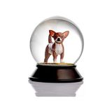 MWX Teknoloji Cam ve Reçine Altın Patiler Köpek Chihuahua (Kahve) Kar Küresi Hediye - 0,35 lt