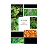 MWX Teknoloji Ixora E188 Defi Erkek Parfüm 100 ml Edp - 01 - Beyaz - Option-1