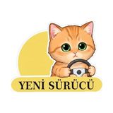 MWX Teknoloji Yeni Sürücü Sevimli Kedi Araba Etiketi & - Option-1 - -50 C