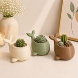 My Craft 3D 3’lü Sevimli Balina Saksı Seti – Minik Kaktüs ve Sukulent Saksısı - Bej - Yeşil - Kahverengi