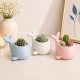 My Craft 3D 3’lü Sevimli Balina Saksı Seti – Minik Kaktüs ve Sukulent Saksısı - Mavi - Beyaz- Pembe