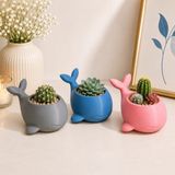 My Craft 3D 3’lü Sevimli Balina Saksı Seti – Minik Kaktüs ve Sukulent Saksısı
