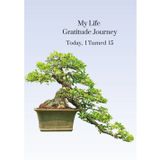 My Life Gratitude Journey - Today I Turned 15: Children's Annual Gratitude Journal, Self-Esteem, Family Keepsake