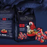 My Yem Selection Gerçek Meyve Parçalı Papağan Yemi 750Gr (3 Adet)