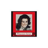My Yonca Müzeyyen Senar MÜZEYYEN SENAR Akşam Oldu Hüzünlendim Ben Yine Plak Coşkun Plak LP