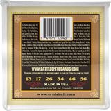 Myg Plus Ernie Ball Earthwood Silk & Steel Normal Akustik Gitar Telleri, 80/20 Bronz, Ölçü 13-56 - 3 Renk Sunburst