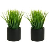 MyGift Masa Üstü Suni Çim Bitkileri Dekoratif Suni Yeşillik Bitkisi Modern Silindirik Siyah Çimento Saksılarında, 2'li Set